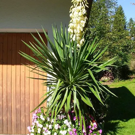 Gertrud Flatz Apartment