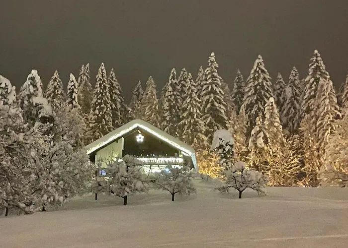 Apartment Gertrud Flatz