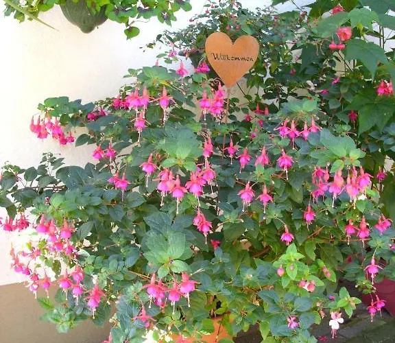 Gertrud Flatz * Sankt Anton im Montafon