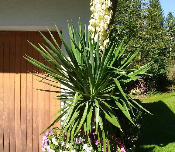 Gertrud Flatz Apartment